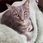20% off right now any purchase through this link to help pay for vet bills for Gracie.
